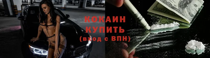 купить   Западная Двина  COCAIN FishScale 