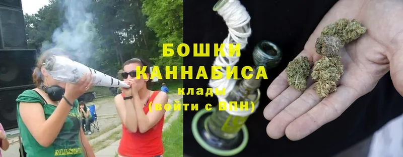 Канабис White Widow  где купить наркотик  Западная Двина 